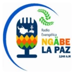 Logo of Ngabe La Paz android Application 